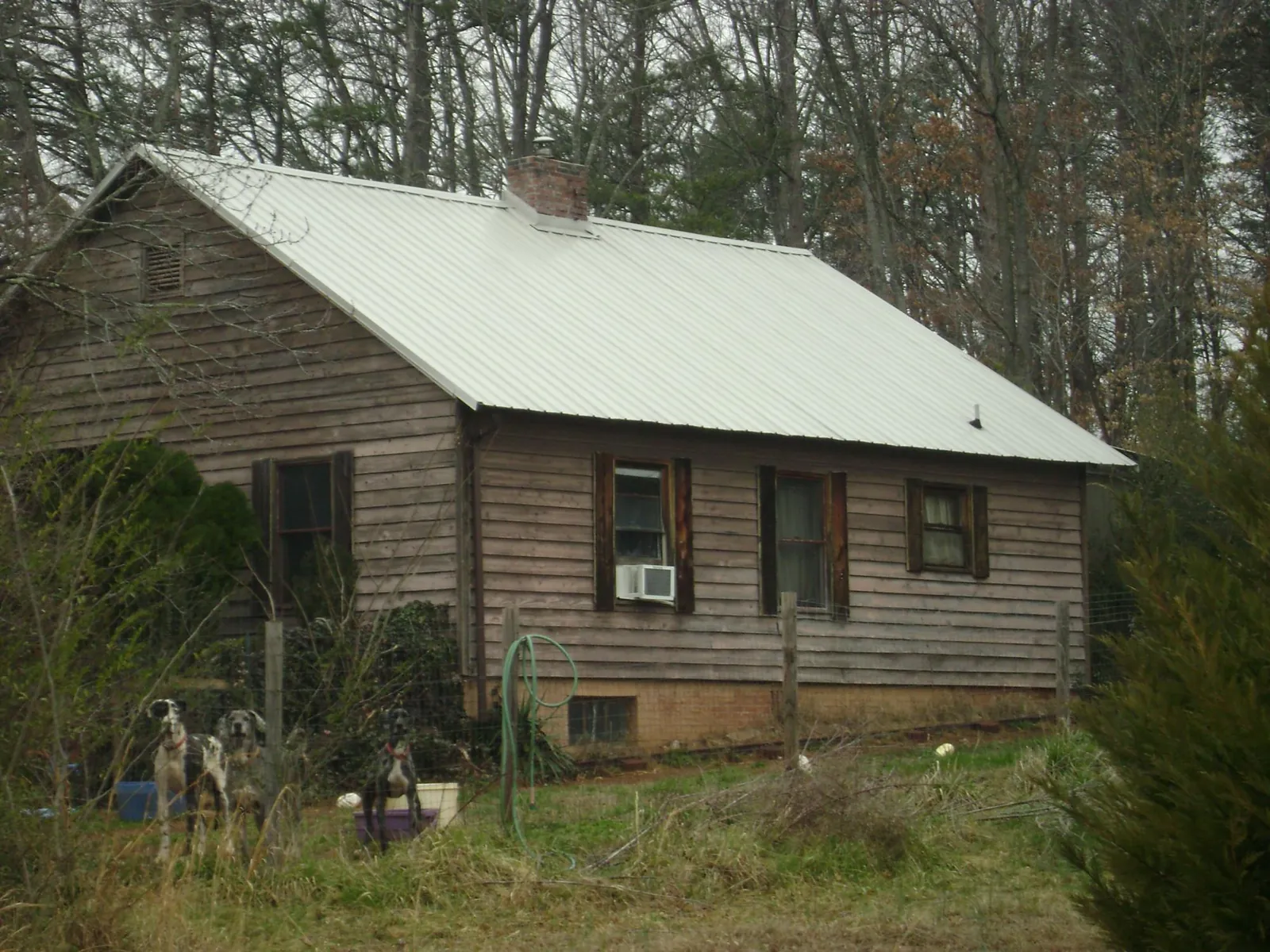 White metal roof on an old wood sided farmhouse, from a Metal Roof Installation job in New Brunswick